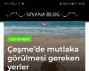 Viyana Blog