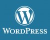 En iyi Wordpress İle Yapılmış Siteler